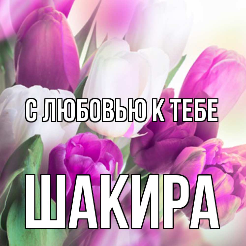 Открытка  с именем. Шакира, С любовью к тебе  