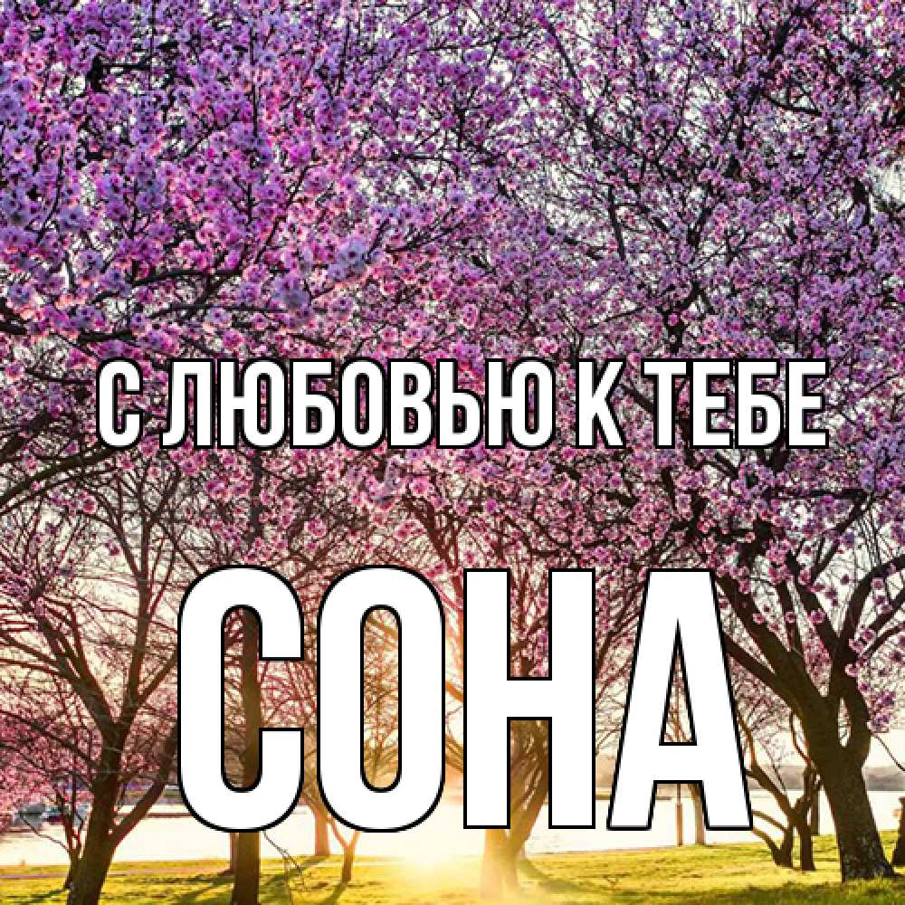 Открытка  с именем. СОНА, С любовью к тебе  