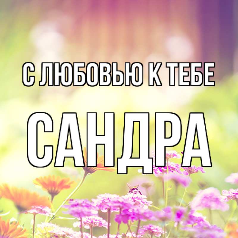 Картинка С любовью к тебе, Сандра