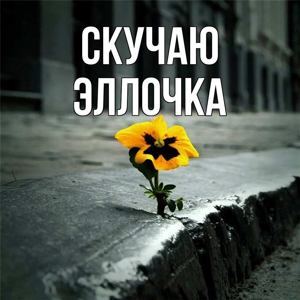 Открытка  с именем. Эллочка, Скучаю  