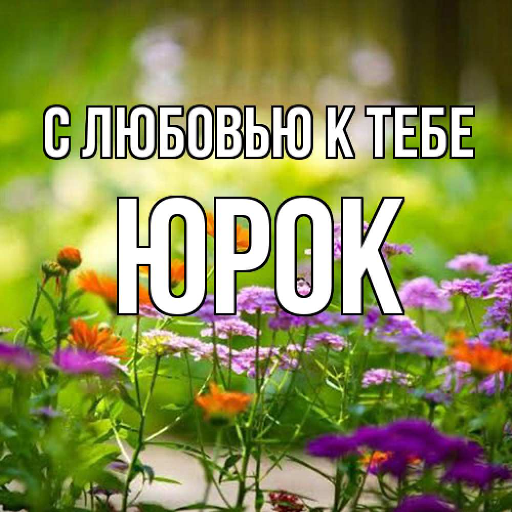 Открытка  с именем. Юрок, С любовью к тебе  