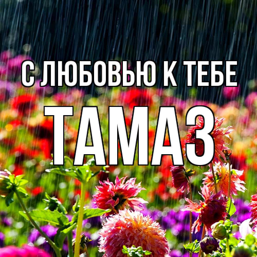 Открытка  с именем. Тамаз, С любовью к тебе  