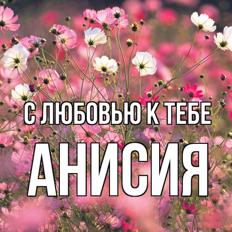 Картинка С любовью к тебе, Анисия