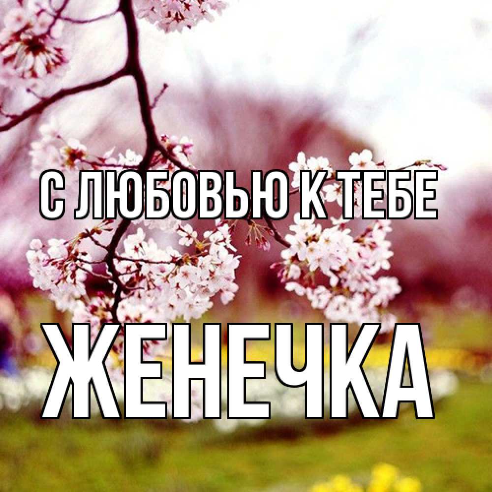 Открытка  с именем. Женечка, С любовью к тебе  