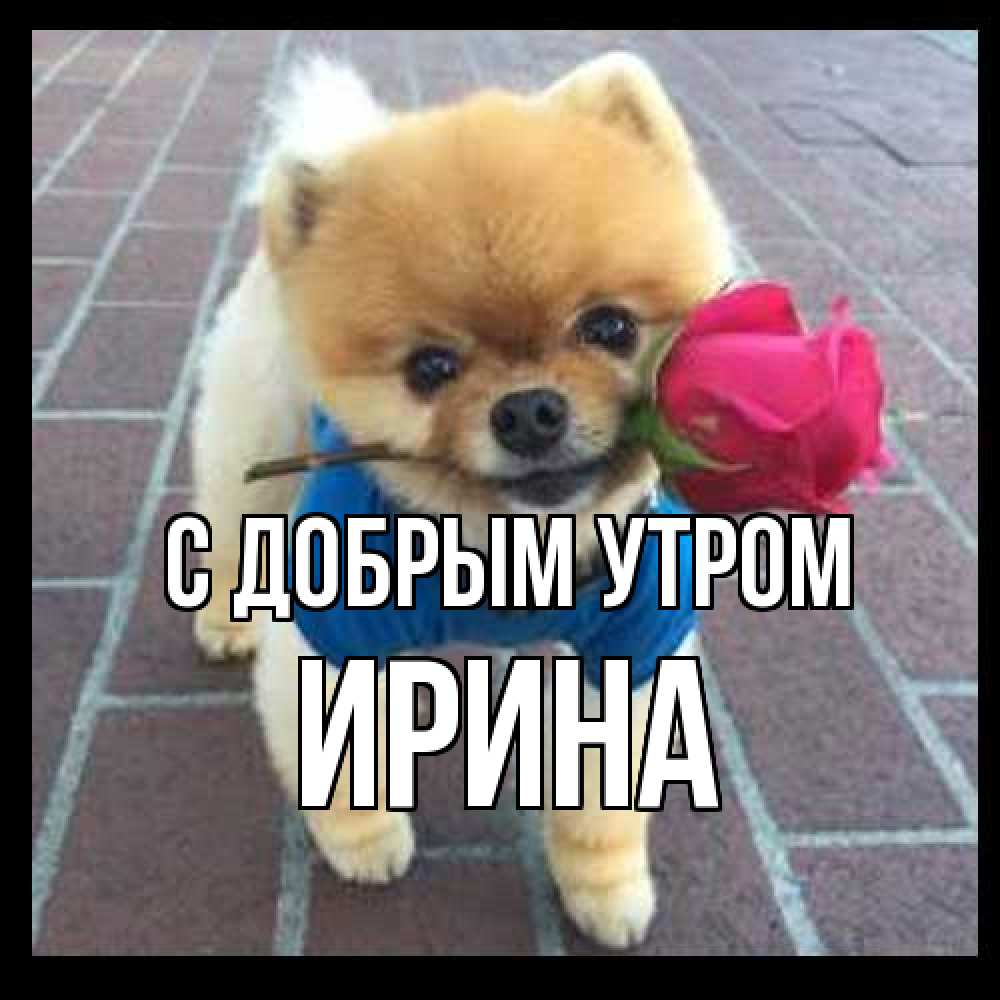 Открытка  с именем. Ирина, С добрым утром  