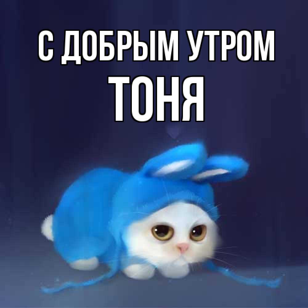 Открытка  с именем. Тоня, С добрым утром  