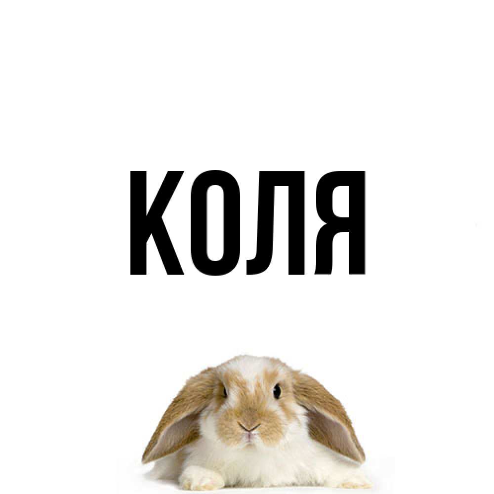 Открытка  с именем. коля, Главная  