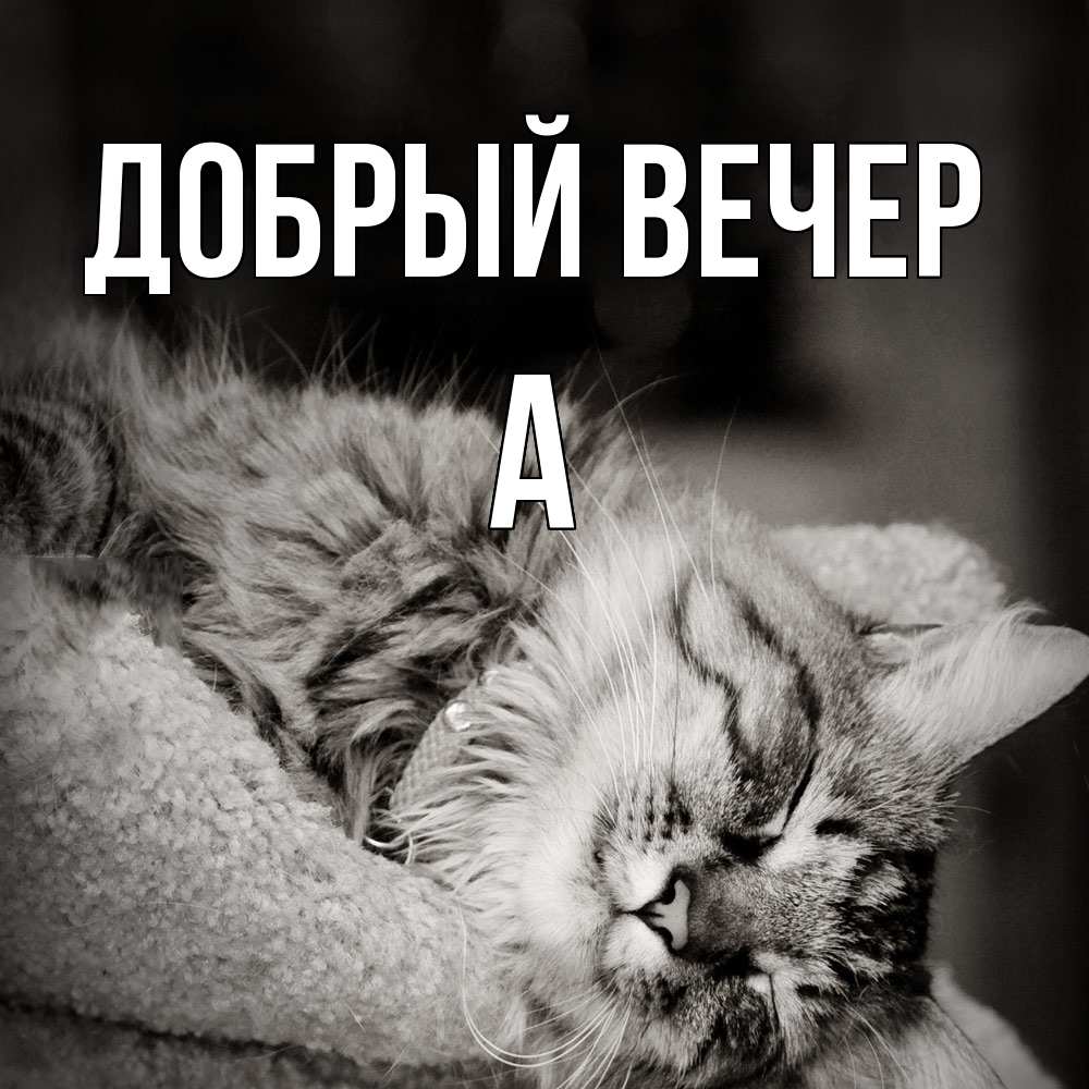 Открытка  с именем. а, Добрый вечер  