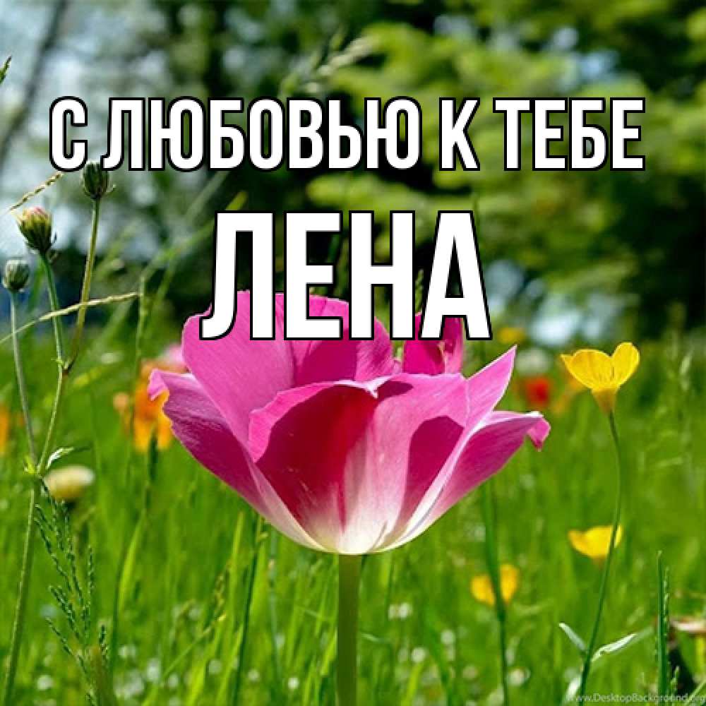 Открытка  с именем. лена, С любовью к тебе  
