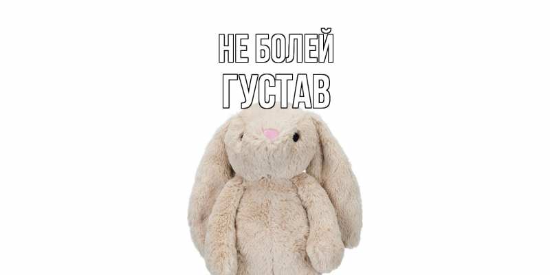 Картинка Не болей, Густав
