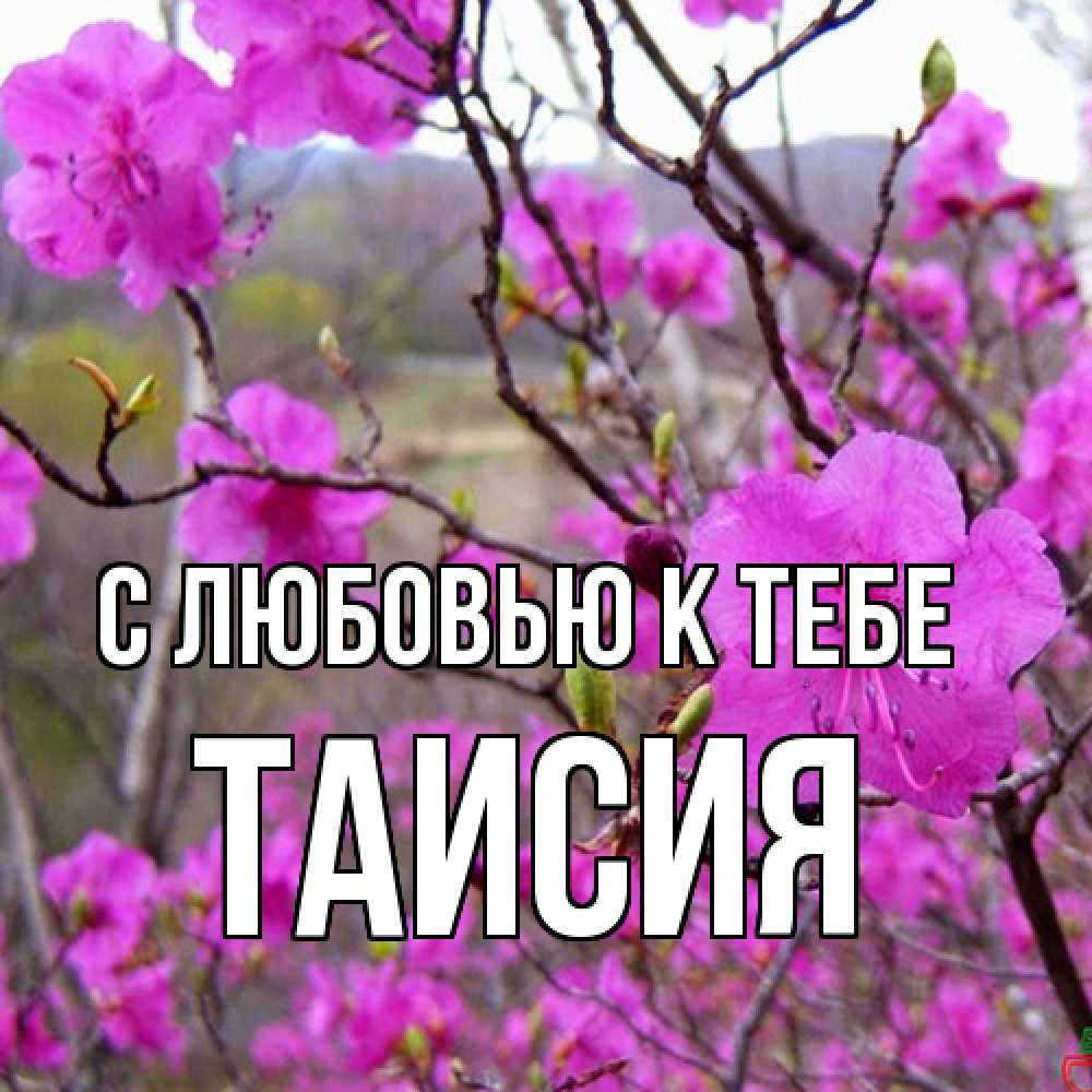 Открытка  с именем. Таисия, С любовью к тебе  