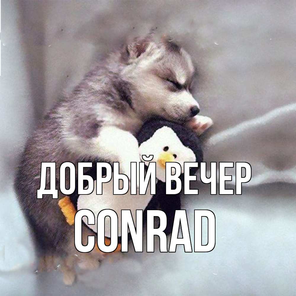 Открытка  с именем. Conrad, Добрый вечер  