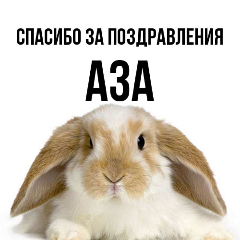 Картинка Спасибо за поздравления, Аза