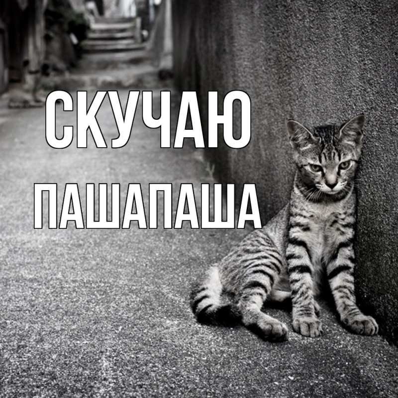 Картинка Скучаю, Пашапаша