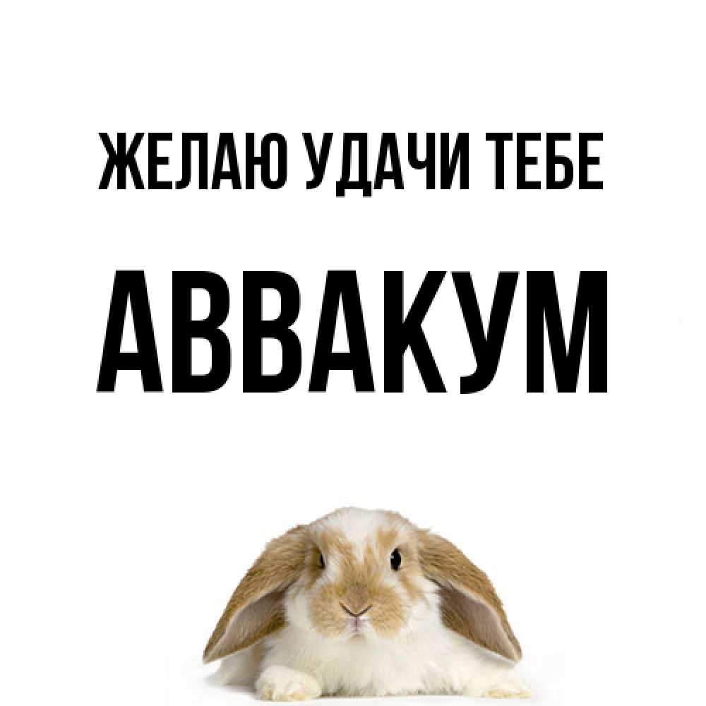 Открытка  с именем. Аввакум, Желаю удачи тебе  