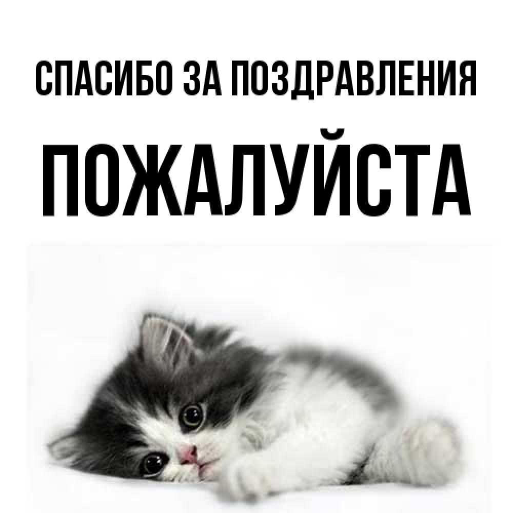 Открытка  с именем. Пожалуйста, Спасибо за поздравления  
