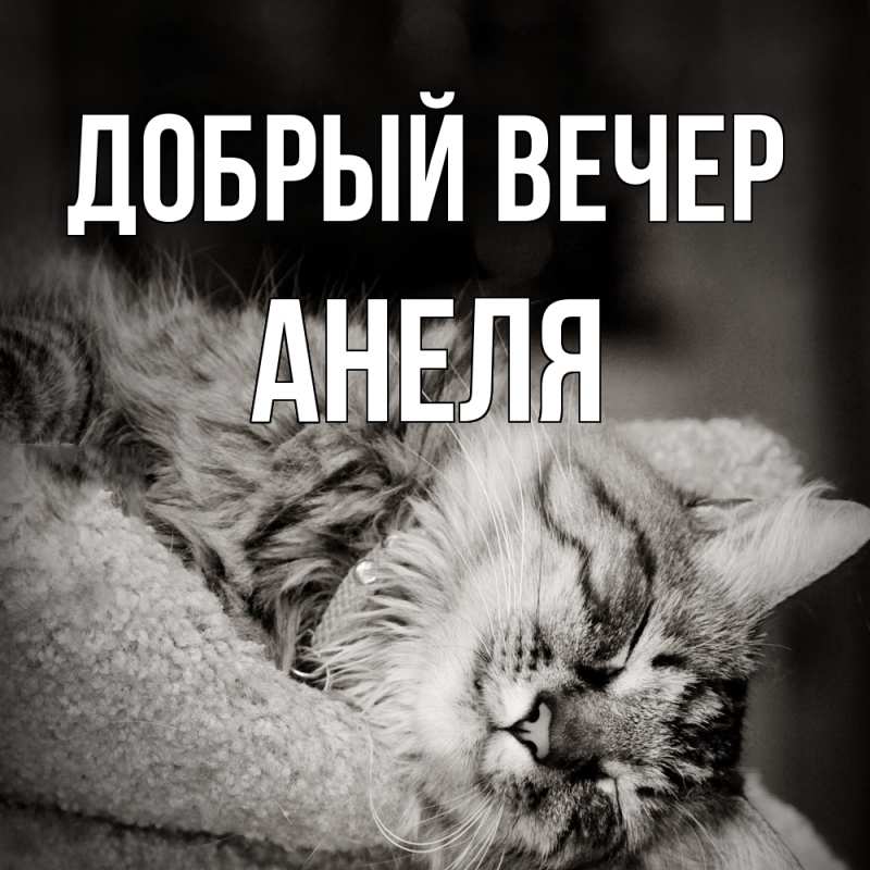 Картинка Добрый вечер, Анеля