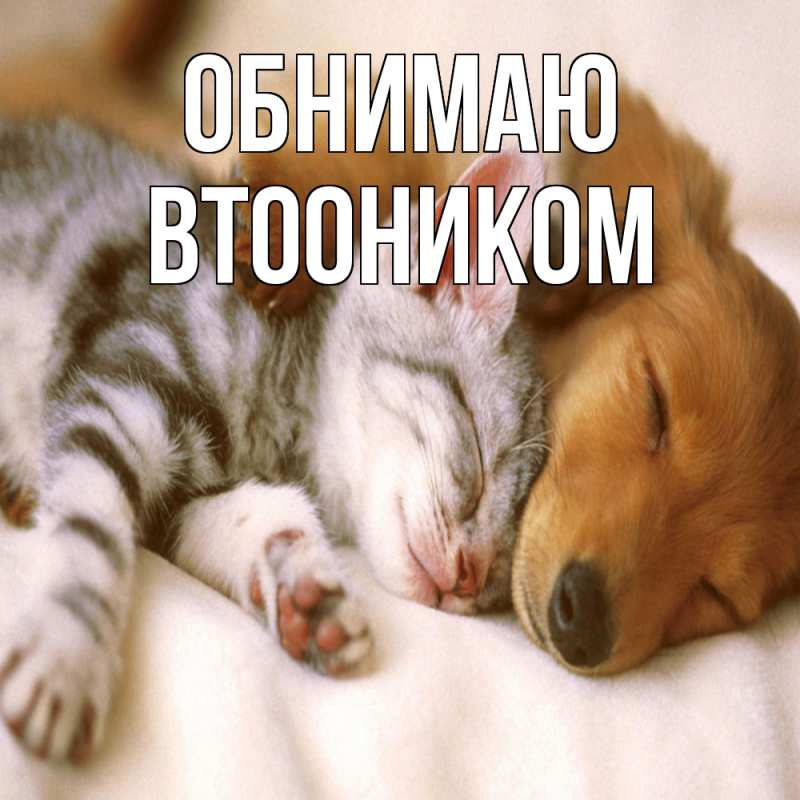 Картинка Обнимаю, Втооником