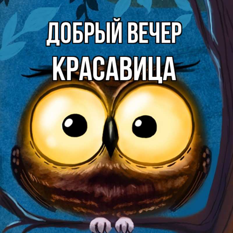 Картинка Добрый вечер, Красавица