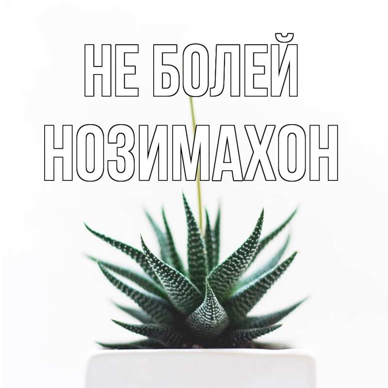 Картинка Не болей, Нозимахон