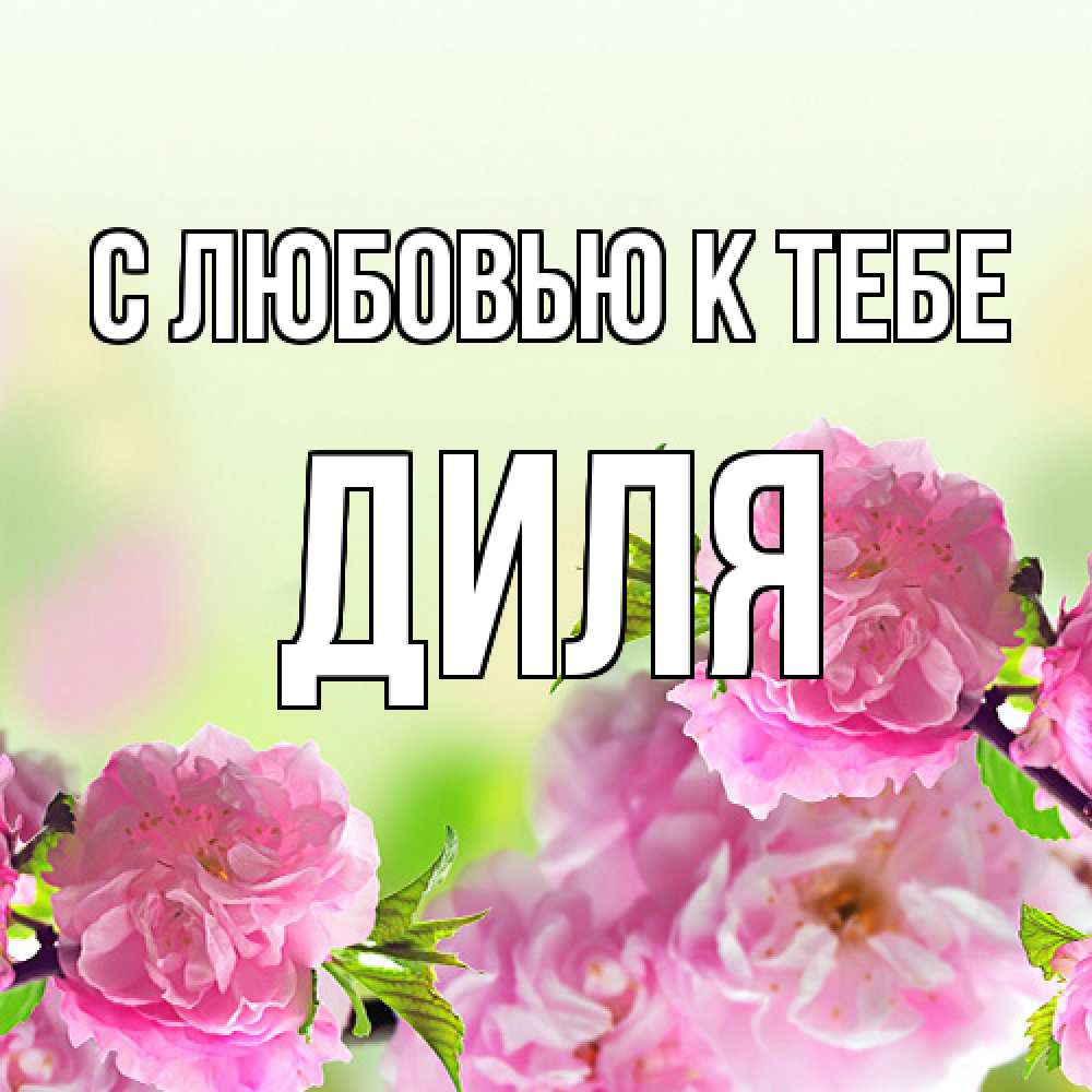 Открытка  с именем. Диля, С любовью к тебе  