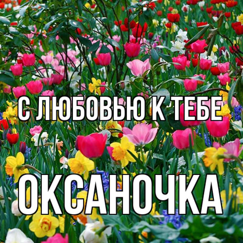 Картинка С любовью к тебе, ОКСАНОЧКА