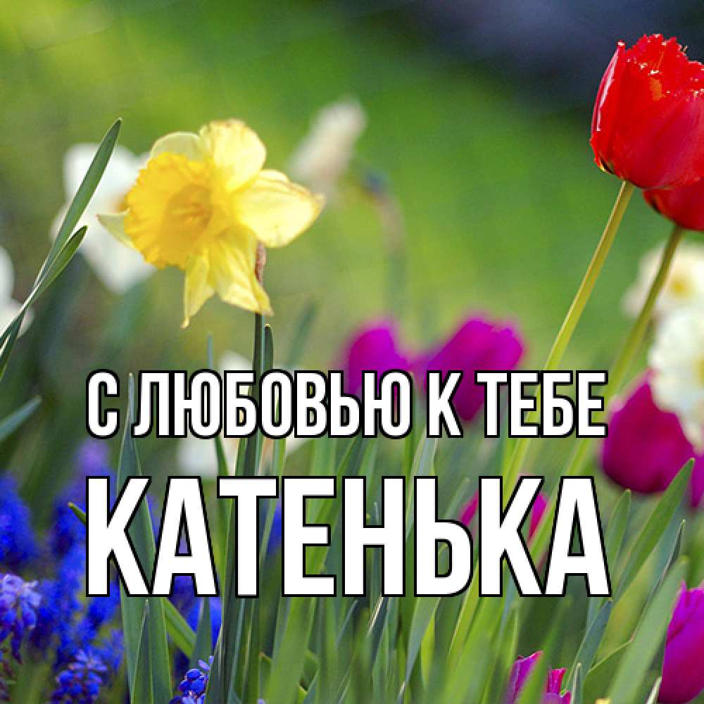 Открытка  с именем. Катенька, С любовью к тебе  