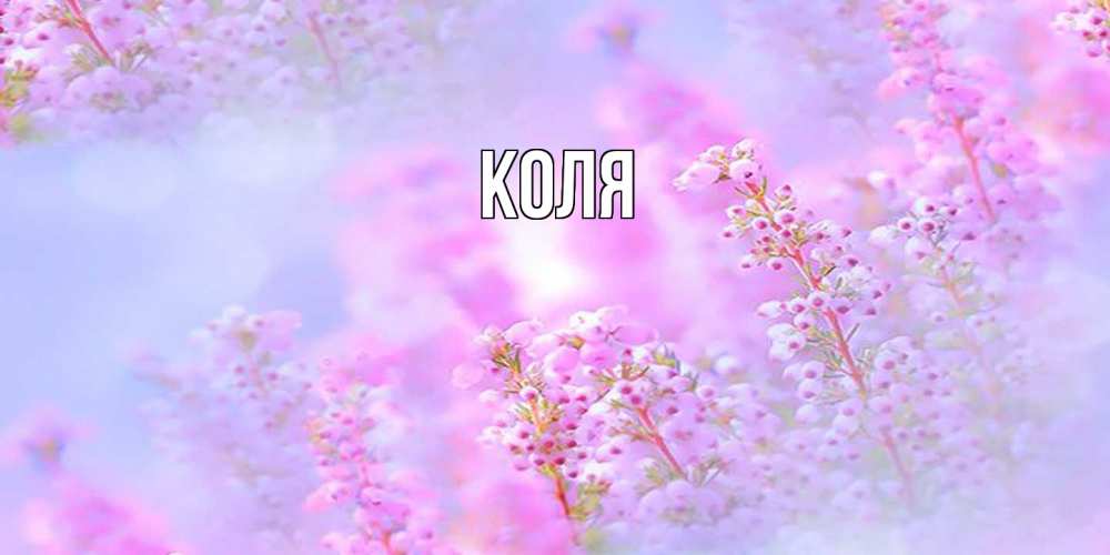 Открытка  с именем. коля, Главная  