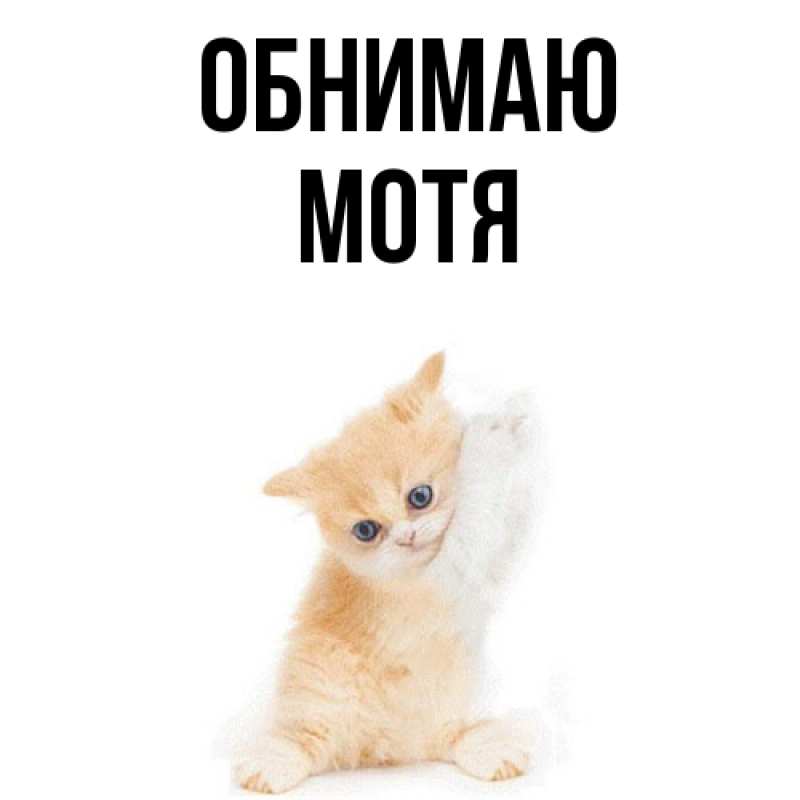Картинка Обнимаю, Мотя