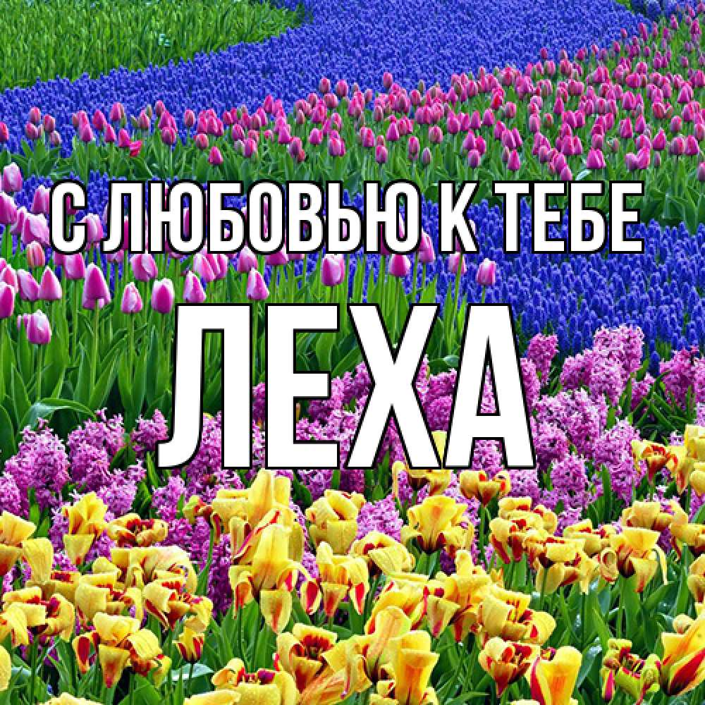 Открытка  с именем. Леха, С любовью к тебе  