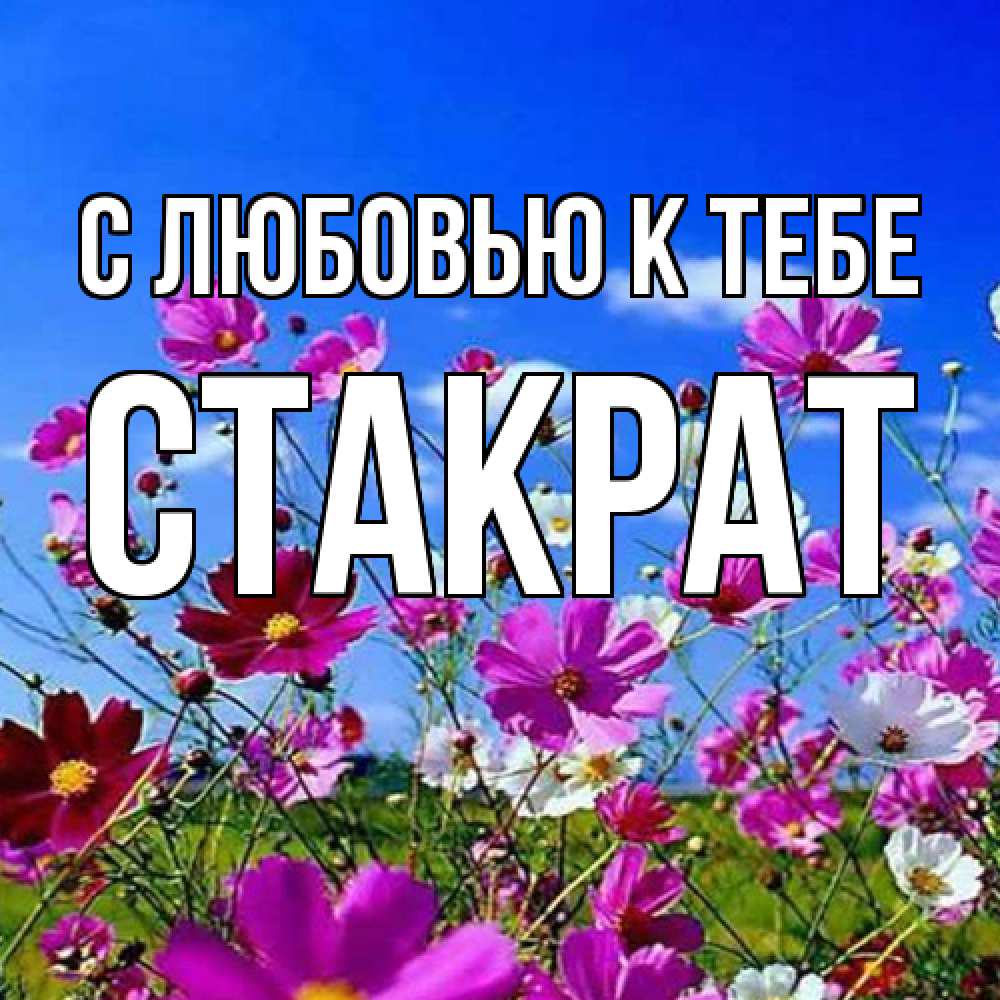 Открытка  с именем. Стакрат, С любовью к тебе  