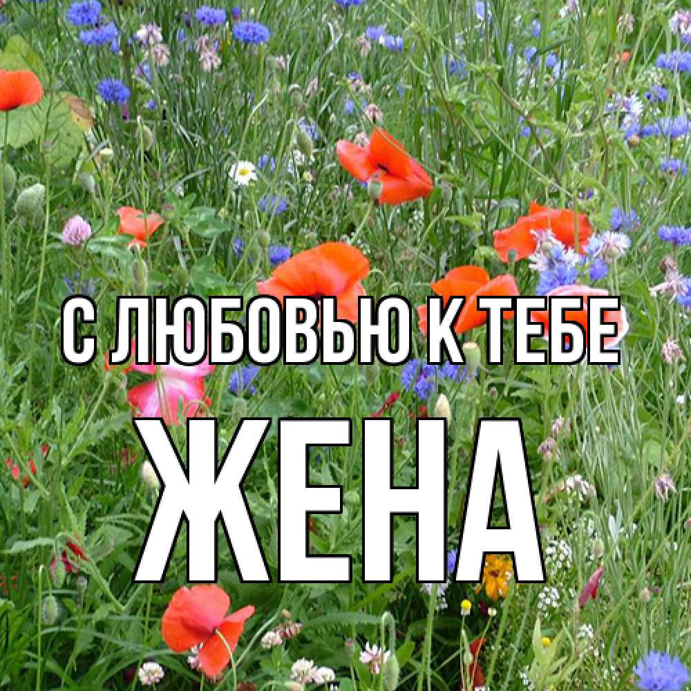 Открытка  с именем. Жена, С любовью к тебе  