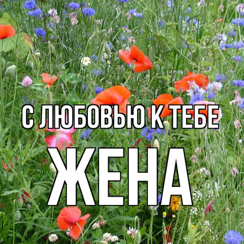 Картинка С любовью к тебе, Жена