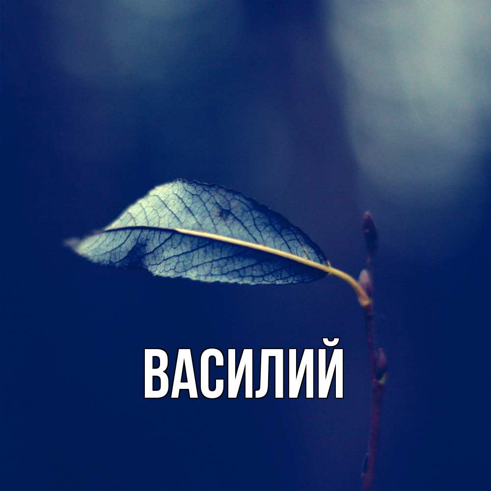 Открытка  с именем. Василий, Главная  