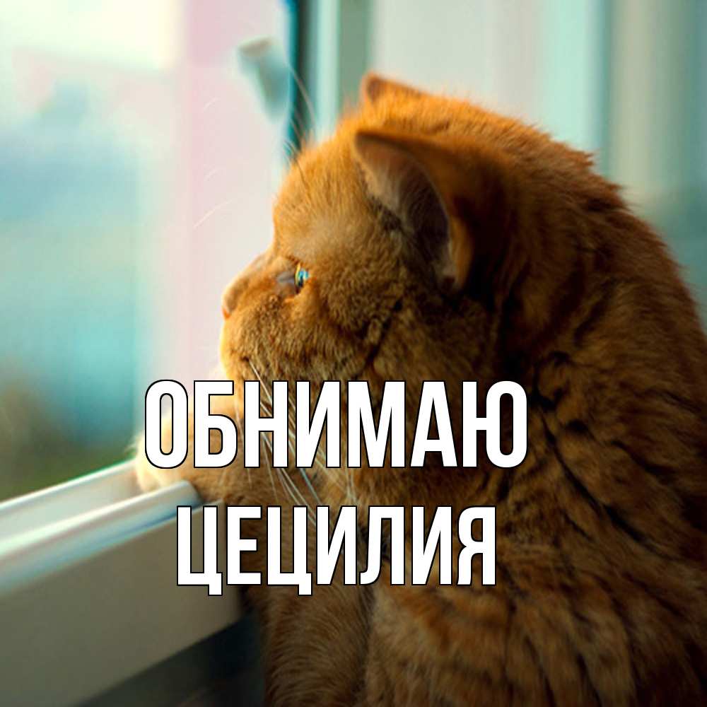 Открытка  с именем. Цецилия, Обнимаю  