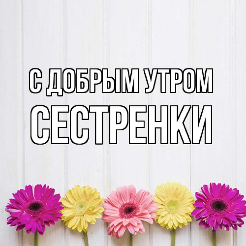 Картинка С добрым утром, Сестренки