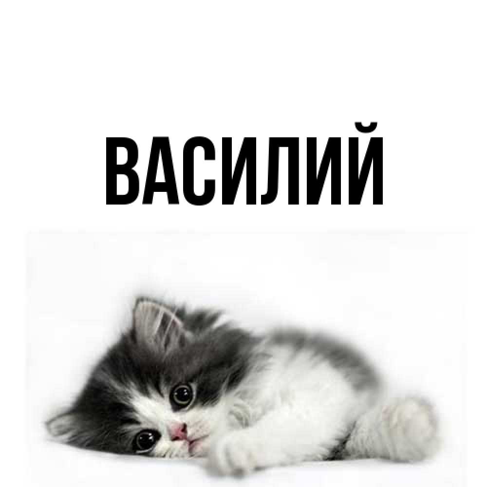 Открытка  с именем. Василий, Главная  