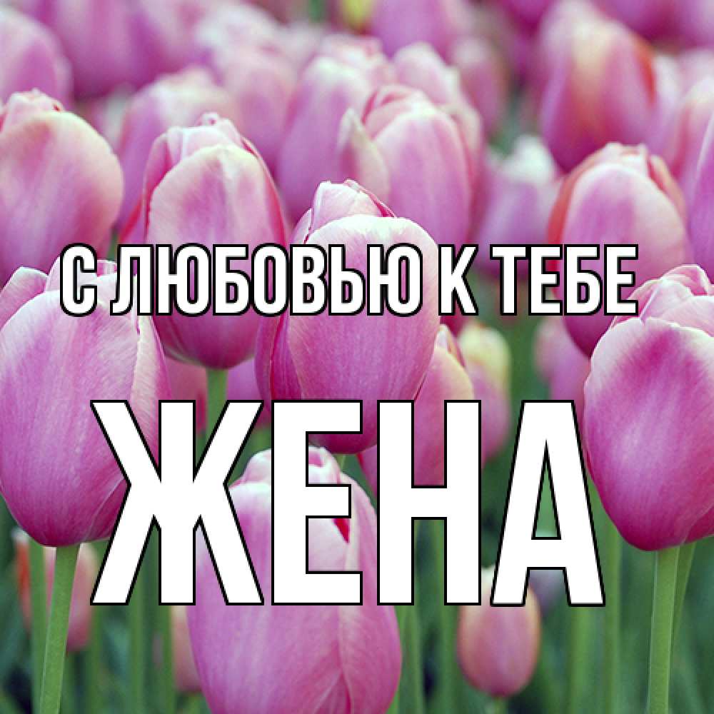 Открытка  с именем. Жена, С любовью к тебе  