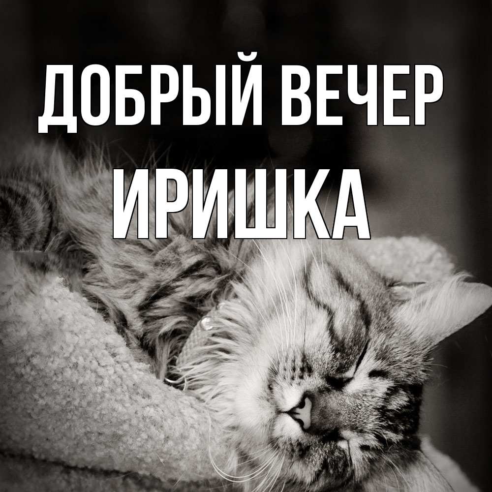 Открытка  с именем. Иришка, Добрый вечер  