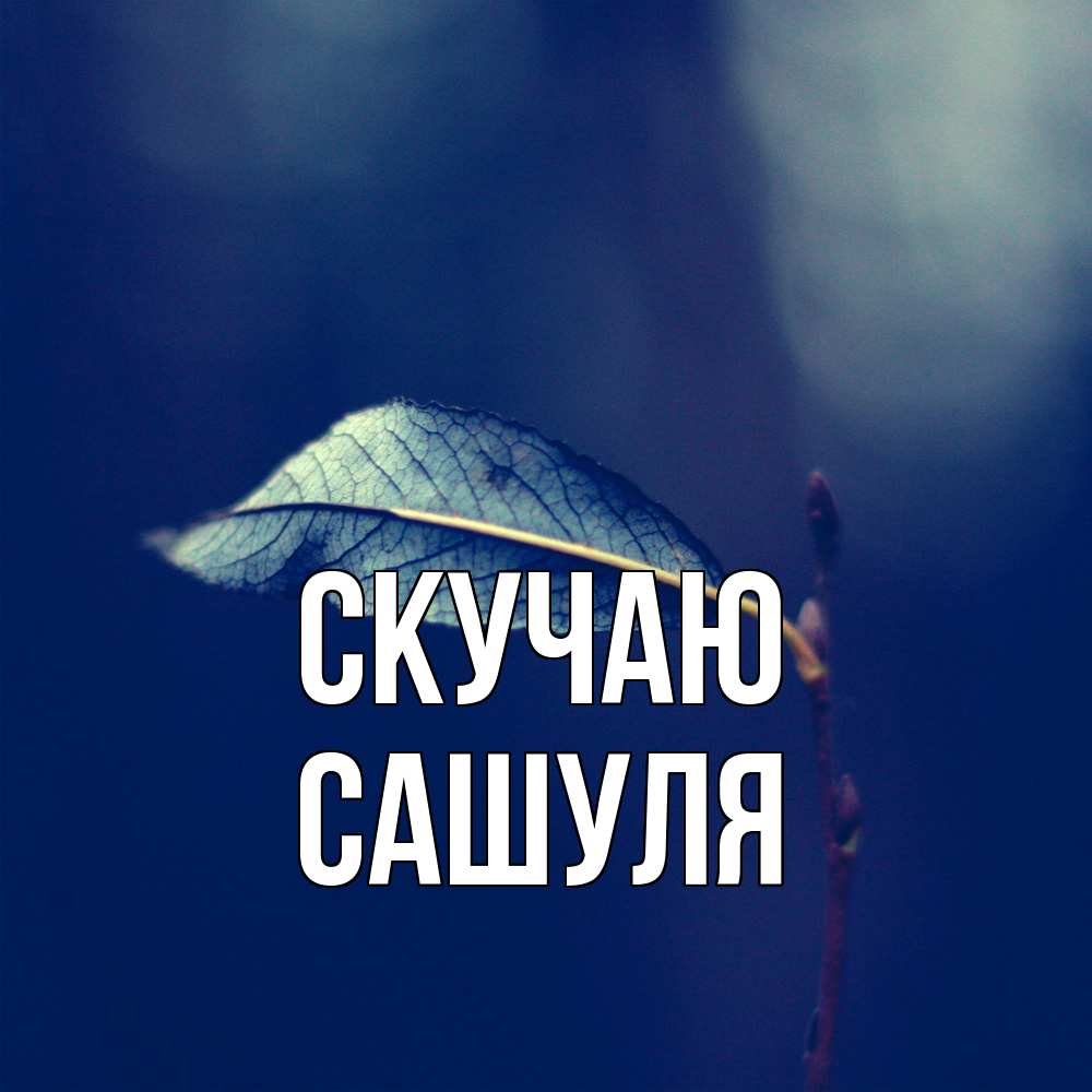 Открытка  с именем. Сашуля, Скучаю  