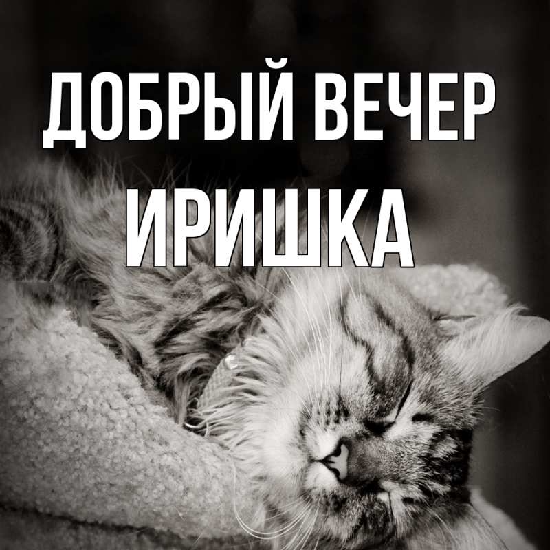 Картинка Добрый вечер, Иришка