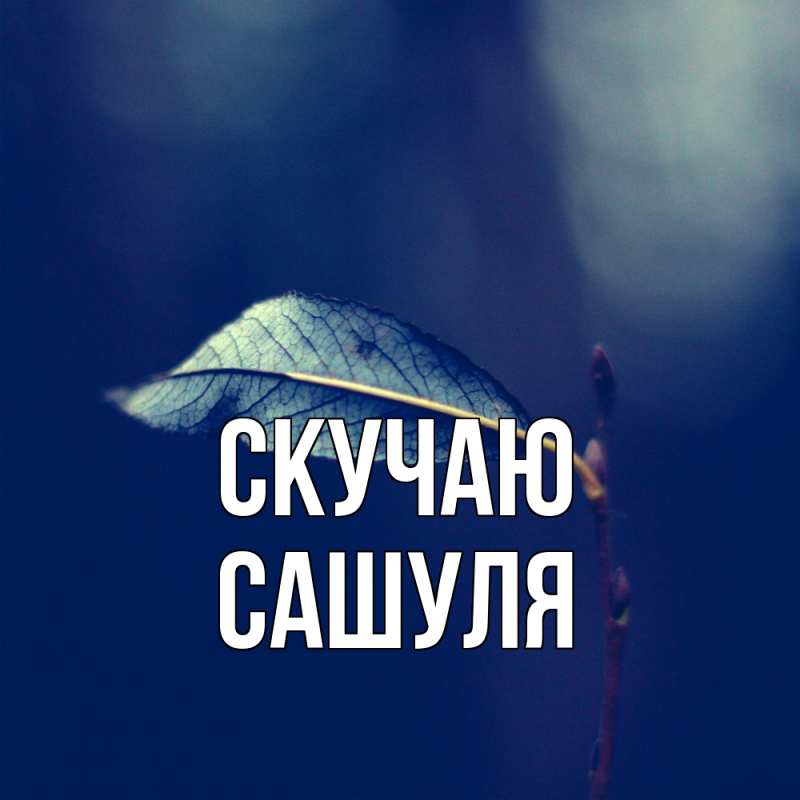 Картинка Скучаю, Сашуля