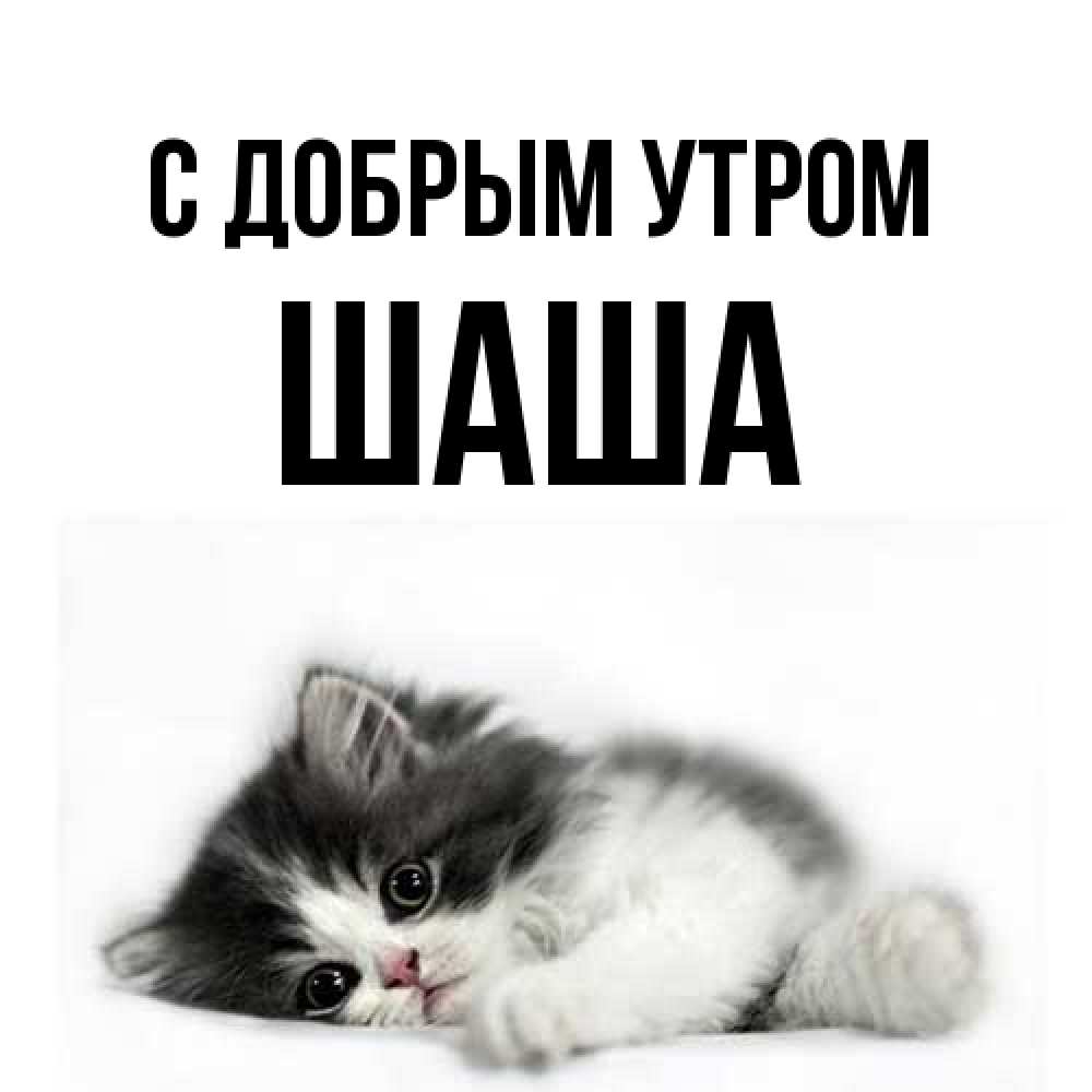 Открытка  с именем. Шаша, С добрым утром  