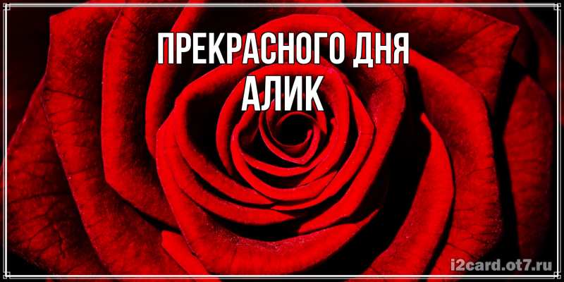 Открытка с именем, Алик, Прекрасного дня
