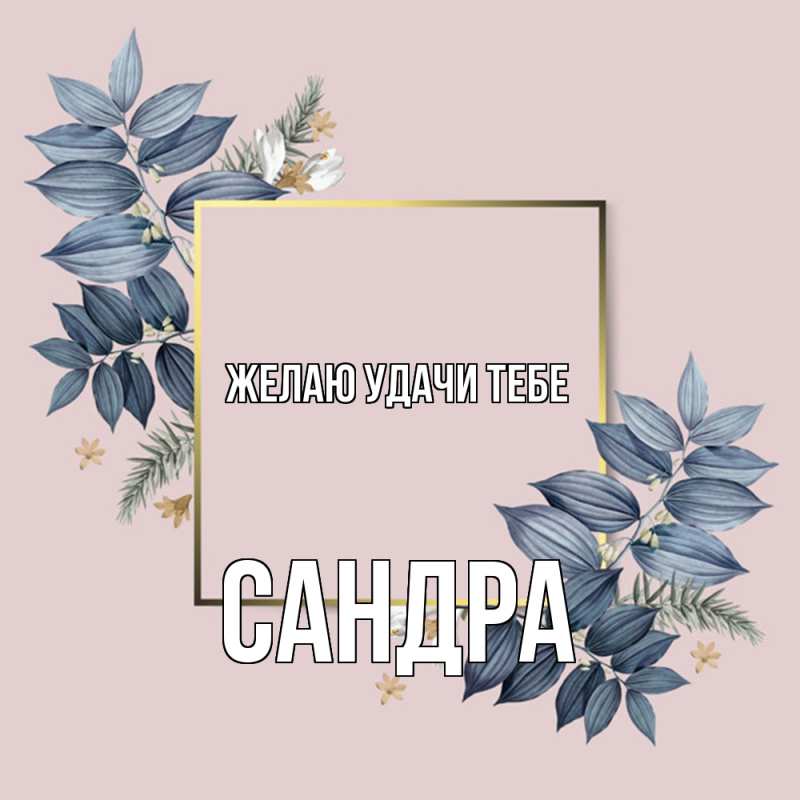 Картинка Желаю удачи тебе, Сандра