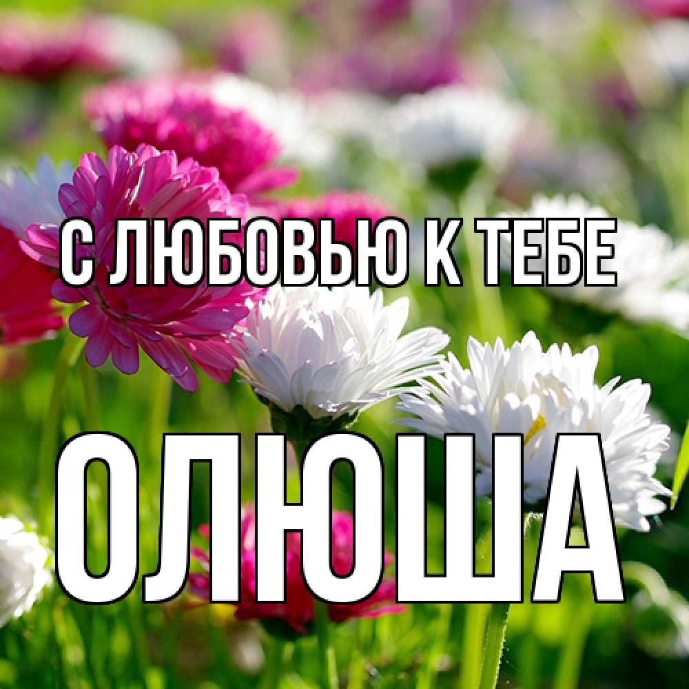 Открытка  с именем. Олюша, С любовью к тебе  