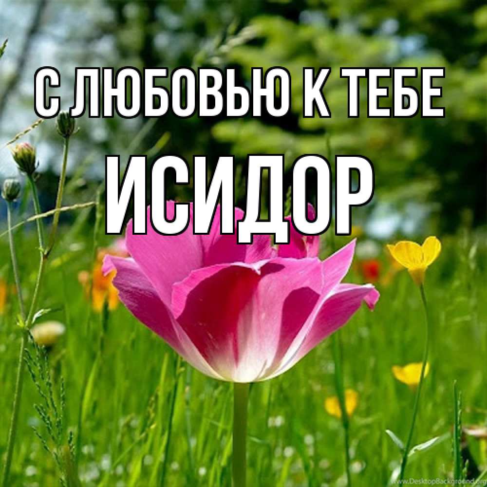Открытка  с именем. Исидор, С любовью к тебе  