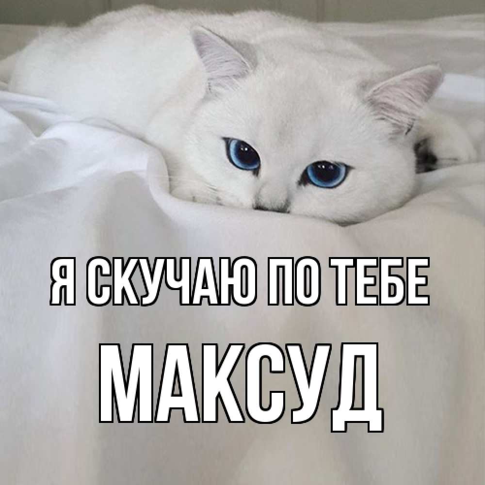 Открытка  с именем. Максуд, Я скучаю по тебе  