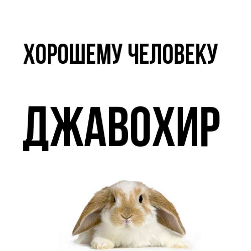 Картинка Хорошему человеку, Джавохир