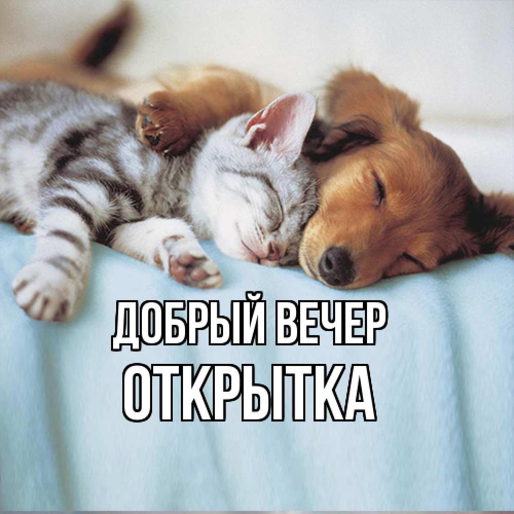 Открытка  с именем. открытка, Добрый вечер  